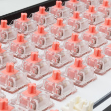 White Shark Venom Rose Mechanical Switches 65 pcs.