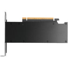 NVIDIA RTX 2000 PRO Blackwell PCI-Express x16 Gen 4.0, dvigubas lizdas, 16 GB GDDR6 ECC 128 bitų, HDCP 2.2 ir HDMI 2.0 p