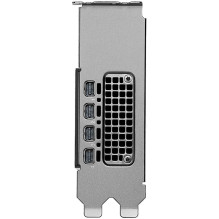 NVIDIA RTX 2000 PRO Blackwell PCI-Express x16 Gen 4.0, dvigubas lizdas, 16 GB GDDR6 ECC 128 bitų, HDCP 2.2 ir HDMI 2.0 p