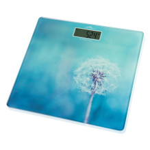 Scales ETA178090040 Breeze