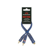 „Renegade RENYRCA“ – RCA...