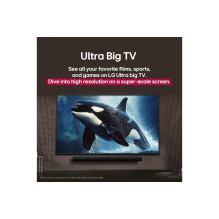 TV Set, LG, 55", 4K / Smart, 3840x2160, Wireless LAN, Bluetooth, webOS, 55UA73003LA