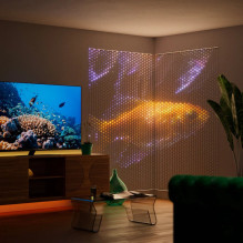 Twinkly Matrix - 500 RGB LED Pearl-shaped lights, clear wire, 1.7x7.8ft F-plug type