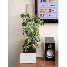 Oehlbach Scope Vision DVB-T2 HD indoor mono television antenna