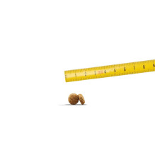 JOSERA Mini lašiša ir vištiena - sausas šunų ėdalas - 10 kg JOSERA Mini lašiša ir vištiena - sausas šunų ėdalas - 10 kg