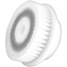 Beper Refill brushes 40.760T for 40.760