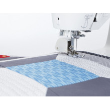 Dainininkas 7640 Dainininkas 7640