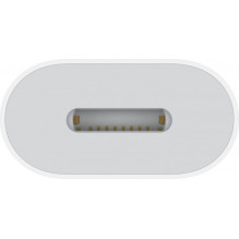 Apple USB-C to Lightning Adapter (MUQX3ZM / A)