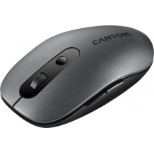 Canyon MW-9 pilka