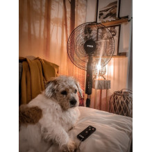 N\'OVEEN F455 16' / 40 cm pastatomas ventiliatorius su nuotolinio valdymo pultu, juodas