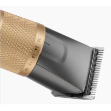 BaByliss E987E hair trimmers / clipper Gold, Graphite Lithium-Ion (Li-Ion)