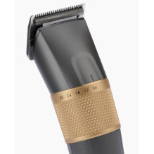 BaByliss E987E hair trimmers / clipper Gold, Graphite Lithium-Ion (Li-Ion)