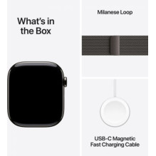 Apple Watch Series 10 Cellular 46mm Slate Titanium / Slate Milanese Loop - M / L