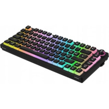 Savio Phenix geltonasis Pro pudingas (EN)