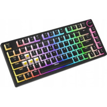 Savio Phenix Yellow Pro Pudding (EN)