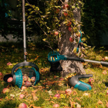 Gardena Gardena Combisystem Berry Collector, Fruit Picker (black / turquoise) Gardena Gardena Combisystem Berry Collector, Fruit Picker (black / turquoise)