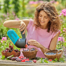 Gardena Gardena Combisystem Berry Collector, Fruit Picker (black / turquoise) Gardena Gardena Combisystem Berry Collector, Fruit Picker (black / turquoise)