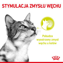 ROYAL CANIN Sensory Smell - wet cat food - 12x85g