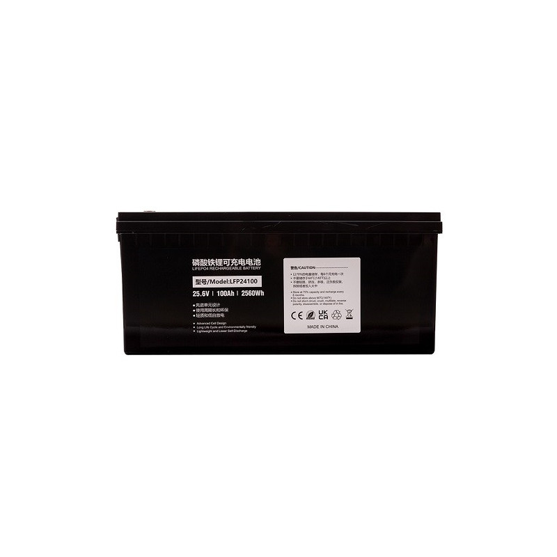 Battery LiFePO4 24V, 100Ah