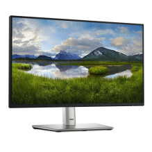 LCD Monitor, DELL, P2225H, 21.5", Business, Panel IPS, 1920x1080, 16:9, 100 Hz, Speakers, Swivel, Pivot, Height adj
