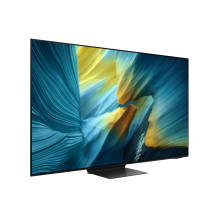 Televizorius, SAMSUNG, 55 colių, 4K Ultra HD, 3840 x 2160 pikselių, plokščias, OLED, QE55S95FATXXH