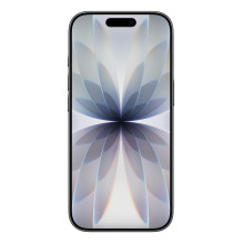 Apple iPhone 17 16 cm (6.3") Dual SIM iOS 26 5G USB Type-C 256 GB Black