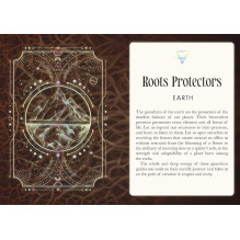 Kortos - Rockpool Šamanų Oracle 44 Kortų Gidas 14x10x3.2 cm