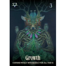 Kortos - Rockpool Šamanų Oracle 44 Kortų Gidas 14x10x3.2 cm