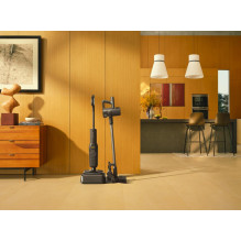 Dulkių siurblys, ROBOROCK, F25, su bakeliu / be maišelio, juodas, svoris 4,2 kg, WD5M1A522-00