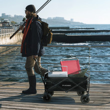 Wozinsky WZP-100 beach, tourist, garden trolley, durable, wide wheels, with safety net up to 100 kg - black