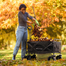 Wozinsky WZP-100 beach, tourist, garden trolley, durable, wide wheels, with safety net up to 100 kg - black