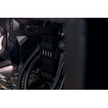 Kingston Technology FURY 16GB 3600MT / s DDR4 CL16 DIMM 1Gx8 Renegade Black