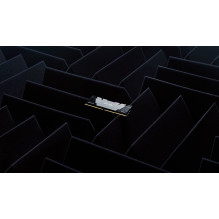 Kingston Technology FURY 16GB 3600MT / s DDR4 CL16 DIMM 1Gx8 Renegade Black