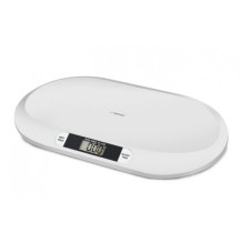 Esperanza EBS019 BEBE White