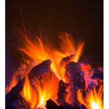 Q20P CARRUZZO electric fireplace heater