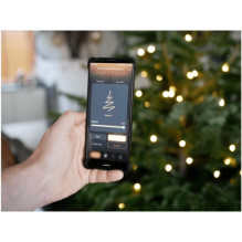 WOOX R5170 SMART Christmas LED 40m