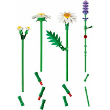 LEGO 11508 Daisies