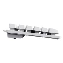 Klaviatūra USB GXT 833W THADO / TKL ENG balta 25894 TRUST