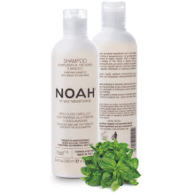 1.5. Purifying Shampoo With Green Tea Šampūnas nuo pleiskanų, 250 ml