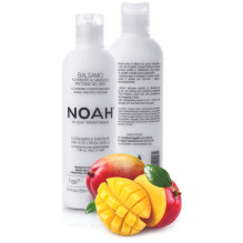 2.1. Nourishing Conditioner With Mango And Rice Proteins Maitinamasis balzamas lengvinantis plaukų iššukavimą, 250ml