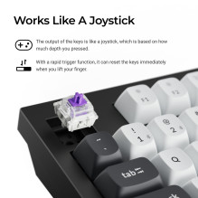 Klaviatūra WRL Q5 HE RGB / SHELL balta Q5H-P1 KEYCHRON