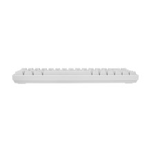 „White Shark RONIN GK-2201 White-US“