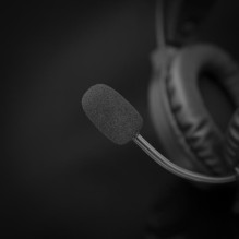 Baltasis ryklys GH-2044 WOLF