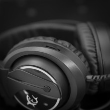 Baltasis ryklys GH-2044 WOLF