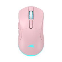 Baracuda BGM-124 Turtle Pink