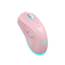 Baracuda BGM-124 vėžlio rožinė