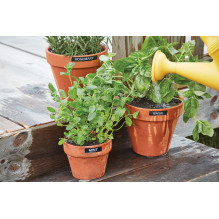 DYMO LabelManager 280 etikečių spausdintuvas, terminio pernešimo, D1 QWERTY