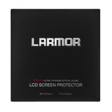 GGS Larmor LCD screen for...