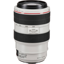 Canon EF 70-300mm f / 4-5.6L IS USM