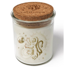 Candle - Harry Potter Gryffindor Color Changing 45h Burning Soy Wax Candle